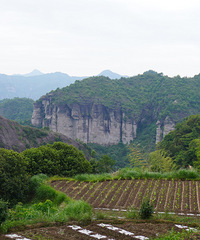 ���ζ���Ѽ�䶴��һ�������뾪ϲ��֯��Ѱ��֮��