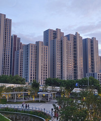 ����87�У�˽��Ч���ȶ����������׷��ӣ����ʵ�һ���ڶ�����