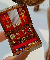 ���������޾ű�