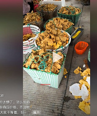 ���������ж����