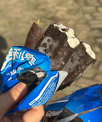 ����ѩ��̿���