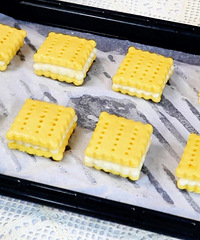 ������������Ŵ����������������