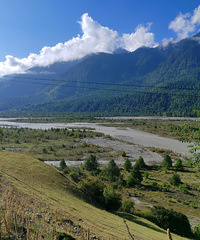 ���ܸ��ʹ���ʪ�ع�԰����ԭ�����ѵõĸ����ҵͺ�������