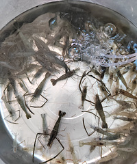 Ұ�����Ϻ120һ�������СϺ����ʮ������