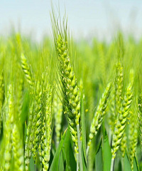 ����2ʱ55�֣�̨����ʽ���롭��