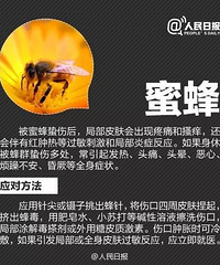 �������飬��������һ����Ƥ����̨���Ѿ���ʼ����