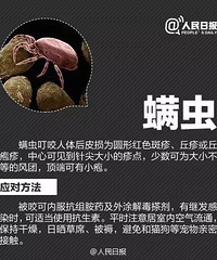 �������飬��������һ����Ƥ����̨���Ѿ���ʼ����