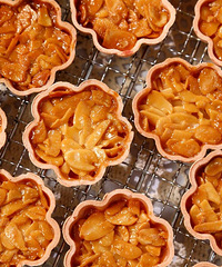 ���οɰ��������򵥣����׵Ĵ���Ұ��CλС��ʳ