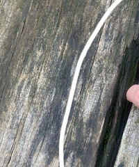 ��Ҳ̫Σ����