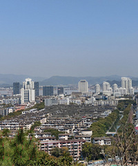 �������Ƹ���ݹ۾�