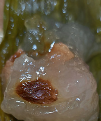 �����ʵ���Ҷ����ζ��ˮ����