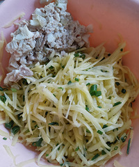 �������ʲô����ʳ�Ŀ���