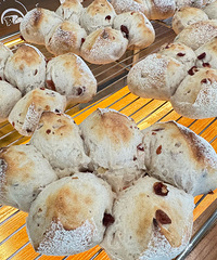 �ϰֵ�Ҥ�����VS ��ɽ��԰Ҥ�����