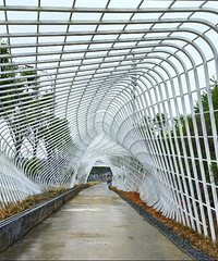 走起!台州市区这条绿道建成投用