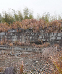 �����������Ӵ������ſ��������ַ�����°�Ȼ