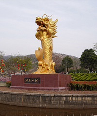 �����żҽ����壺���˶��������˶���