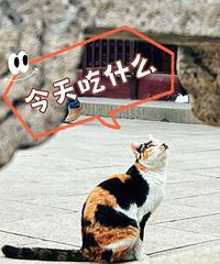 ������԰�������ʦ�����ش򿨵�֮һ