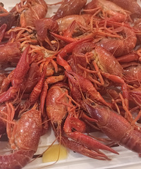 ����С��Ϻ������ָ���£�����ѧ����һ����