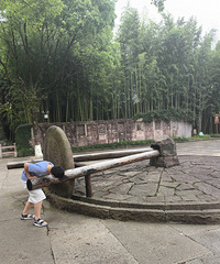 �����ŵ�Ұ�˶����������ұ�ʯ����˵�����¡���