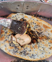 ��ͷ�˸ɱ����سԷ�