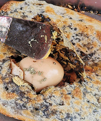 ��ͷ�˸ɱ����سԷ���������Ÿ���Ҷ��