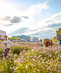 ��������ת��Ƶ�����������̨���������