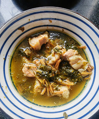 �������ʲô��÷�ɲ�����