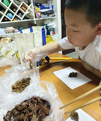 ���Ϻ���ѧϰ��9��룬�Ϲ�����ҹ�������������޶�����