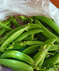 �㳡·ĳ��������Ĳˣ������޴����ڣ�����ϴ������ʳƷ��ȫ�أ�