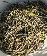 ҩ�ġ�����������Ԫ���ۣ�̨�������ô������