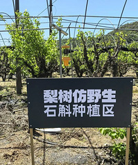 ҩ�ġ�����������Ԫ���ۣ�̨�������ô������