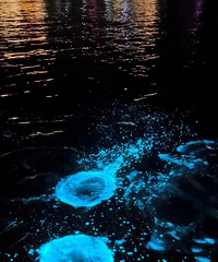 ���λã��������ᡱ��˫�������������룡�����ٿ���