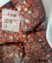 �������ʲô�����˰�����Ϻ����