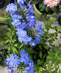 89��Ů�����ӽ�����������ޣ��з��г����ҽ�һ����ʱ���ദ