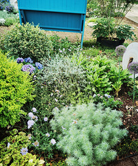 ��2025�μǡ��Ϻ��ļ����۳��л�԰��������