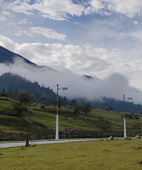 ³�ʵ��糿�������ƣ�ɽ�ߵ���������һƬ����