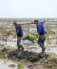 ̨��·�����ƽ�Ϳ�ѵ�������ʼ������