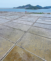 ̨��·�����ƽ�Ϳ�ѵ�������ʼ������