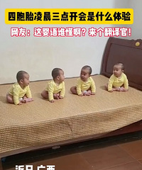 �İ�̥�賿���㿪����ʲô���飬����������̽��ʲô��