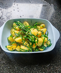 �������ʲô���²˳�����