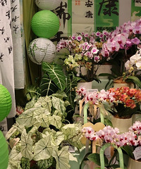 �����������쿪ҵ������͸�����ˣ�