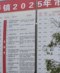 ������2025����Ŀ������