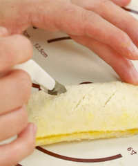 ��˾������ô�ԣ��򵥼��£���������Сʳ