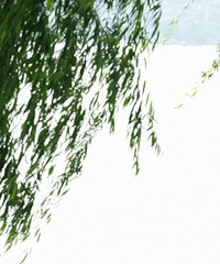 ���꣡���꣡�㽭��ע�⣬�������Ҫ��������