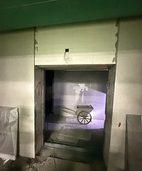 ��Զ������������Ҳ��ţ��