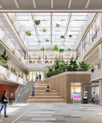 ��ֵ����������������һ�ҡ����족��������