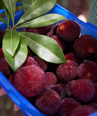 �����÷�����г棿����ϴ���ĳԣ�