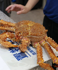 ����������ҵ������Ʒ���������ʡ���