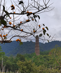 �������£����ն���