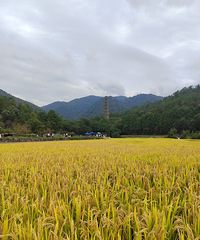 �������£����ն���